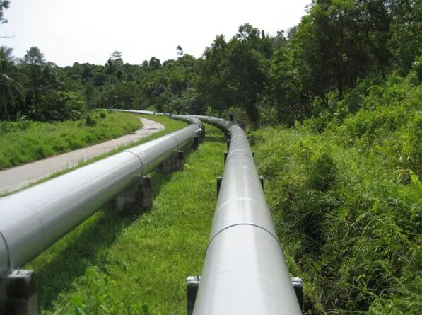 Titanium Alloy Steel Seamless Tube For Condenser Boiler,Titanium Clad Plate,titanium condenser tubing